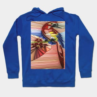 Stand glass Parrot Hoodie